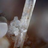 Natrolita
Campo de visión 2,6 mm
(Autor: Juan Miguel)