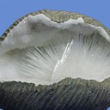 Natrolita
70x50 mm
(Autor: Ramon A  Lopez Garcia)