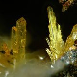 Nealita
Campo de visión 6 mm.
(Autor: Antonio P. López)