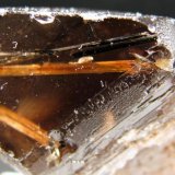 (Autor: José Luis Zamora)