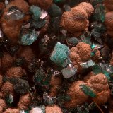 Reichenbachita y Pseudomalaquita.
Campo de visión de 3 mm.
(Autor: Antonio Carmona)