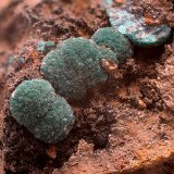 Reichenbachita
Campo de visión de 12 mm.
(Autor: Antonio Carmona)