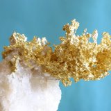 Oro
60 x 50 mm
(Autor: Ramon A  Lopez Garcia)