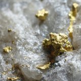 Oro
Enfoque 50 x 50 mm
(Autor: Ramon A  Lopez Garcia)