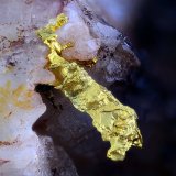 Oro
Campo de visión 4 mm
(Autor: Juan Miguel)
