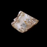 Oro
3,7x3,2x1,1 cm.
(Autor: Nacho)
