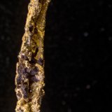Oro
1 cm
(Autor: Cesar M. Salvan)
