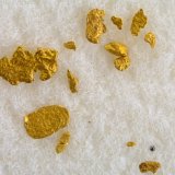 Oro
FOV 1.5 cm
(Autor: Cesar M. Salvan)