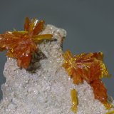 Oropimente
enfoque 30x30mm
(Autor: Ramon A  Lopez Garcia)