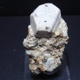 Ortoclasa
35x60 mm
(Autor: Ignacio)
