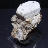 Ortoclasa
35x60 mm
(Autor: Ignacio)