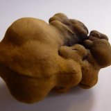 Limonita pseudomorfa de Pirita
4 x 4 cm.
(Autor: javier ruiz martin)