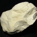 Creta
11 x 8 x 6 cm.
(Autor: Frederic Varela)