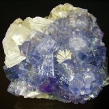 Fluorita, Barita
8´5x8 cm
(Autor: geoalfon)