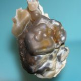 Cuarzo (variedad calcedonia) sobre Fluorita
7x4.5 cm.
(Autor: jcarlosjalcantara)