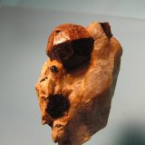 Almandino (Grupo Granate)
Cristal 1.5x1.5 cm.
(Autor: jcarlosjalcantara)