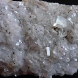 Calcita en Dolomita
6 x 4 cm.
(Autor: javier ruiz martin)
