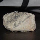 óxidos de manganeso
50 x 25 mm.
(Autor: Inushin)