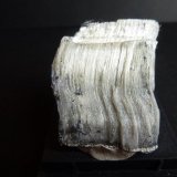 Crisotilo
3 x 3 cm.
(Autor: javier ruiz martin)