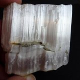 Yeso
8 x 8 cm.
(Autor: javier ruiz martin)