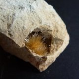 Aragonito
3 x 3 cm.
(Autor: javier ruiz martin)