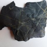 Pizarra con Graptolites
12 x 10 cm.
(Autor: javier ruiz martin)