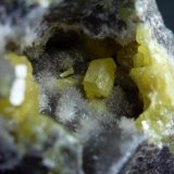 Azufre, Calcita
0,5 cm. el cristal mayor de Azufre
(Autor: javier ruiz martin)