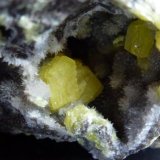 Azufre, Calcita
0,5 cm. el cristal mayor de Azufre
(Autor: javier ruiz martin)