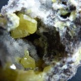 Azufre, Calcita
0,5 cm. el cristal mayor de Azufre
(Autor: javier ruiz martin)