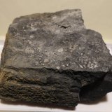 Mercurio
9x6 cm
(Autor: Ander Ispizua Juan)