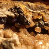 Piromorfita, Goethita
Tamaño milimétrico, fotos en formato macro
(Autor: javier ruiz martin)