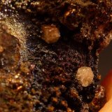 Piromorfita, Goethita
Tamaño milimétrico, fotos en formato macro
(Autor: javier ruiz martin)