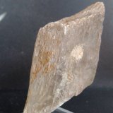 Yeso
7 x 3,5 x 2 cm.
(Autor: Felipe Abolafia)