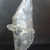 Yeso
9 x 3 x 2 cm.
(Autor: Felipe Abolafia)