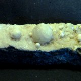 Girolita
13 x 5 x 2,5 cm.
(Autor: Felipe Abolafia)