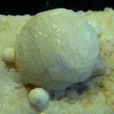 Girolita
13 x 5 x 2,5 cm.
(Autor: Felipe Abolafia)