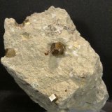 Pirita
6 x 6 x 4 cm.
(Autor: Felipe Abolafia)
