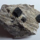 Dolomita (variedad teruelita) en yeso
5 x 4 cm.
(Autor: javier ruiz martin)