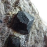 Dolomita (variedad teruelita) en yeso
5 x 4 cm.
(Autor: javier ruiz martin)