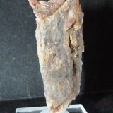 Yeso
2 x 5 x 0,7 cm.
(Autor: Felipe Abolafia)