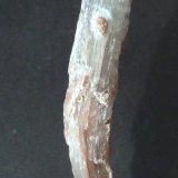 Yeso
1 x 1 x 6,5 cm.
(Autor: Felipe Abolafia)
