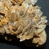 Yeso
6 x 3 x 3,5 cm.
(Autor: Felipe Abolafia)