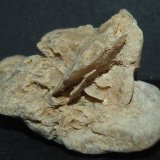 Yeso
5 x 6 x 3 cm.
(Autor: Felipe Abolafia)