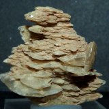 Yeso
3,5 x 3 x 2 cm.
(Autor: Felipe Abolafia)