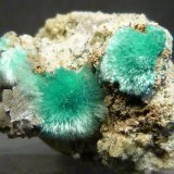 Auricalcita y hemimorfita
3 x 2 x 3 cm.
(Autor: Felipe Abolafia)