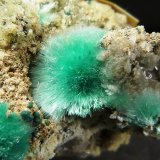 Auricalcita y hemimorfita
3 x 2 x 3 cm.
(Autor: Felipe Abolafia)