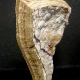Calcita
5 x 7,5 x 1,5 cm.
(Autor: Felipe Abolafia)