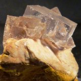 Fluorita
3 x 4 x 2 cm.
(Autor: Felipe Abolafia)