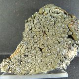 Pirita
7 x 6 x 3 cm.
(Autor: Felipe Abolafia)