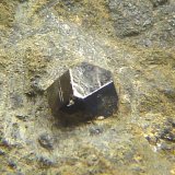 Magnetita
7 x 11 x 4 mm.
(Autor: Felipe Abolafia)